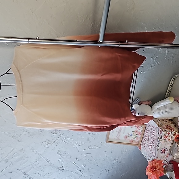 Marine Layer ombre sweatshirt. Size L. - Picture 6 of 8